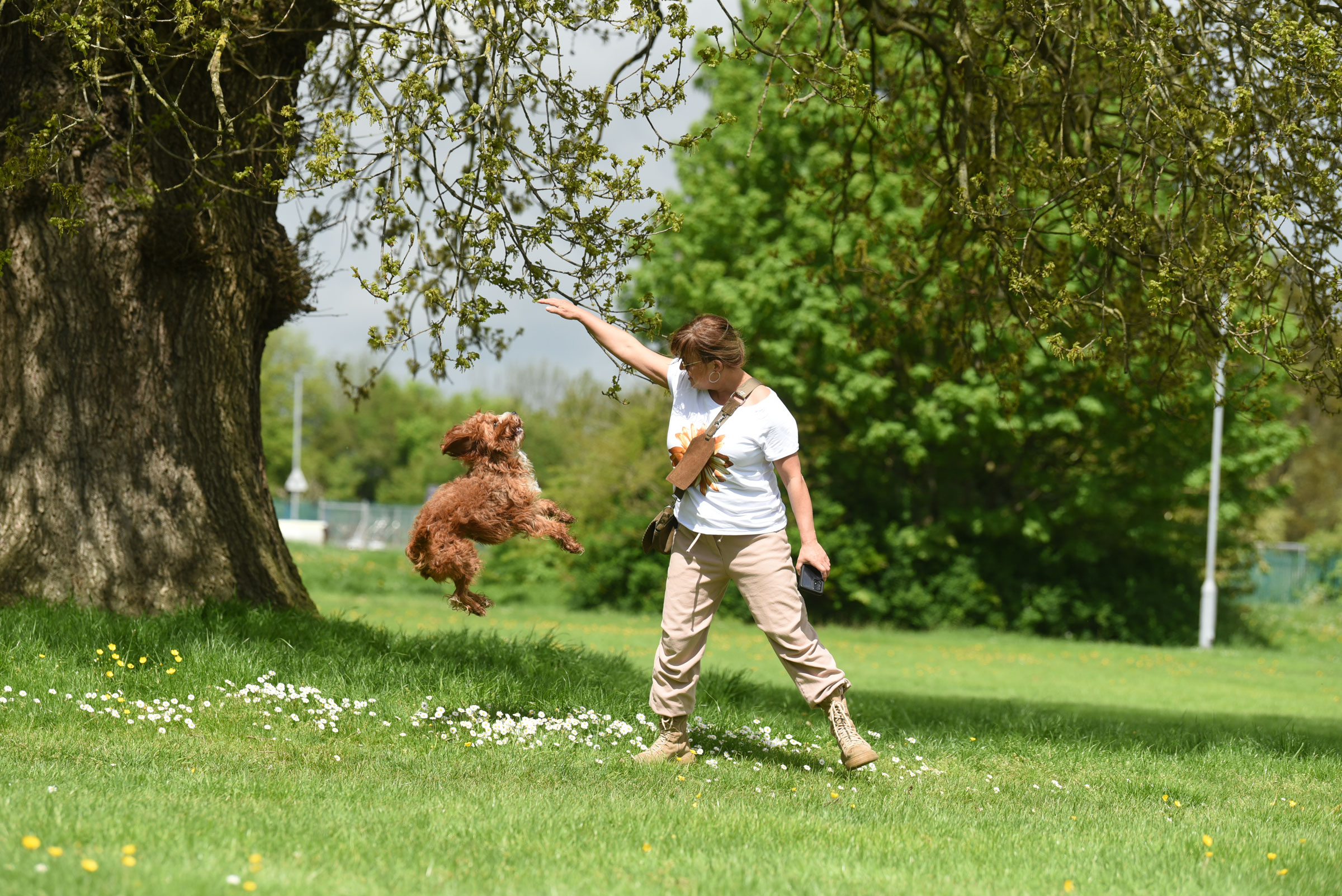 Dog jumping up with its owner in Luton