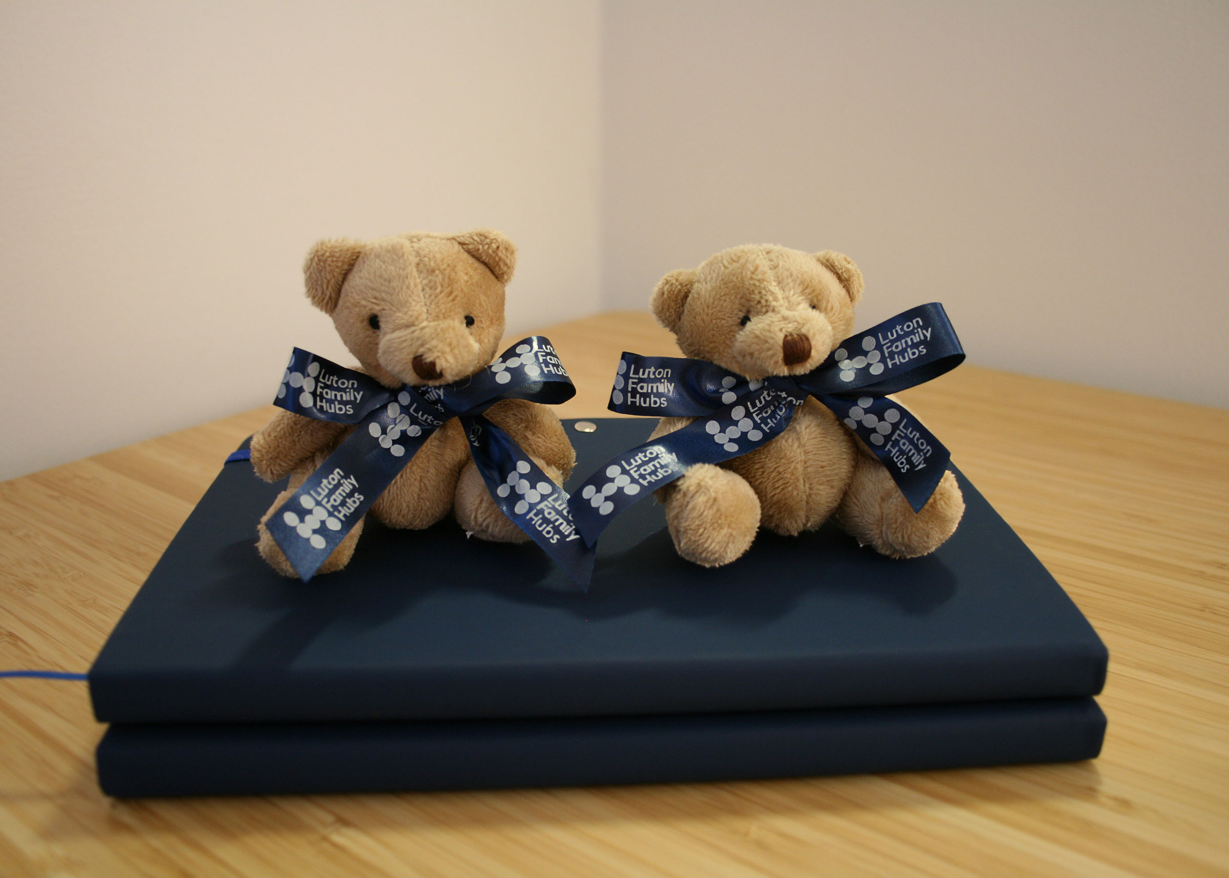 Cute teddies as part of the merchandising for Luton Family Hubs